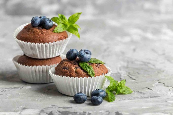 chocolate blueberry bites chocolate blueberry bites